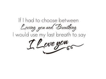 "If I Had To Choose Between Loving..." English Vinyl Wall Decals Waterpoof Wall Sticker SM6