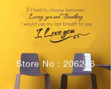 "If I Had To Choose Between Loving..." English Vinyl Wall Decals Waterpoof Wall Sticker SM6