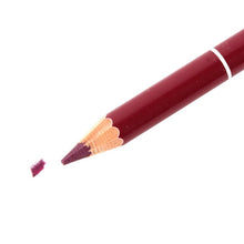 12pcsulti-color Party Queen Lip Liner Pencil Functional Eyebrow Eye Lip Makeup Waterproof Colorful Cosmetic Pen PY7 SM6