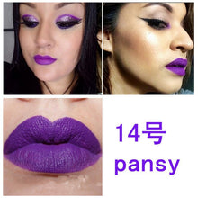 16 Color Waterproof Long Lasting Matte Lip Gloss Lipstick Beauty Makeup CosmeticSM6