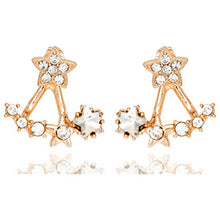 Fashion Stud Earings for Women Men Unisex Earing Jewelry SM6