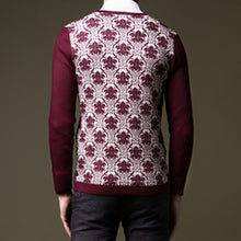 Men V Neck Sweaters and Pullovers Men's Casual Slim Fit Large Size Knitted V Neck Sweaters Clothing Pullovers SM6