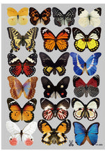 3 d color butterfly the household adornment of children room wall stickers on the wall SM6