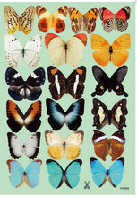 3 d color butterfly the household adornment of children room wall stickers on the wall SM6