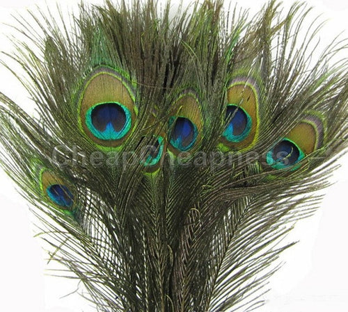50pcs   Natural Peacock Eye Tail Feathers Beautiful Natural Feathers Wedding Party Home Hairs DIY Decoration SM6