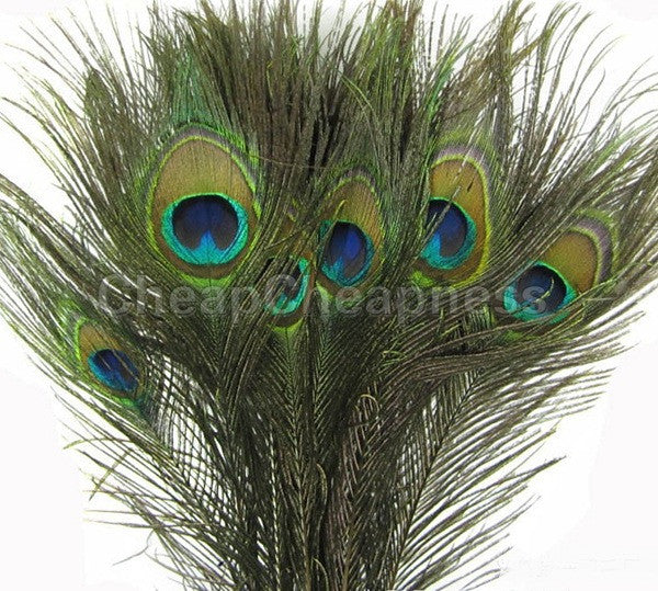 50pcs   Natural Peacock Eye Tail Feathers Beautiful Natural Feathers Wedding Party Home Hairs DIY Decoration SM6