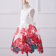 Baby Girls Dresses Kids Clothes Brand Children Dress for Girls Clothes Rose Flower Dobby Princess Dress Christmas 3-8Y PY2 SM6