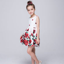 Baby Girls Dresses Kids Clothes Brand Children Dress for Girls Clothes Rose Flower Dobby Princess Dress Christmas 3-8Y PY2 SM6