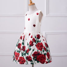 Baby Girls Dresses Kids Clothes Brand Children Dress for Girls Clothes Rose Flower Dobby Princess Dress Christmas 3-8Y PY2 SM6