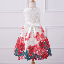 Baby Girls Dresses Kids Clothes Brand Children Dress for Girls Clothes Rose Flower Dobby Princess Dress Christmas 3-8Y PY2 SM6