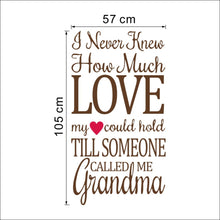 Characters "How Much Love" wall stickers home decor decals art Characters  NEW PVC 57*105CM SM6