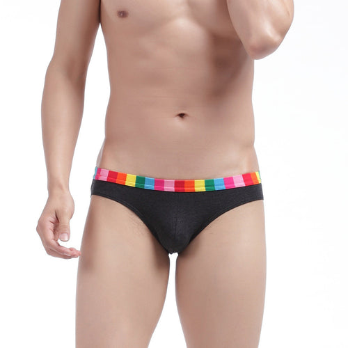 Cotton Men Underwear Striped Rainbow Brief Underpant Spandex Underwear Short U Convex Cueca Brief Low Waist Calzoncillos Hombre SM6