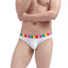 Cotton Men Underwear Striped Rainbow Brief Underpant Spandex Underwear Short U Convex Cueca Brief Low Waist Calzoncillos Hombre SM6
