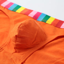 Cotton Men Underwear Striped Rainbow Brief Underpant Spandex Underwear Short U Convex Cueca Brief Low Waist Calzoncillos Hombre SM6