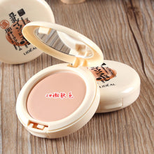 Dark Circle Blemish Hide Concealer Makeup Cosmetic Foundation BB Palette PowderSM6