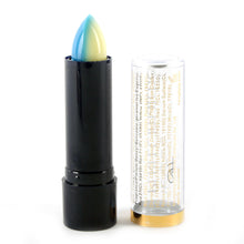 Fashion Women Mix Two-Colors Gradient Lipstick Lip Gloss Lip Stick Cream Beauty Brand Makeup Cosmetics SM6