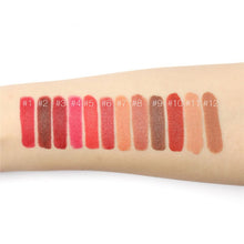 12 Colors Set Moisturizing Matte Liquid Lipstick Lip Gloss Stick Makeup Cosmetic SM6