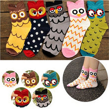 5 Colors Women Cute 3D Owl Print Socks Durable Casual Socks  SM6