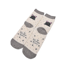 Design Cute Cartoon Cat Socks Striped Pattern Women Cotton Sock  SM6