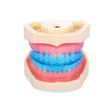 Professional Dental Tooth Teeth Orthodontic Appliance Trainer Alignment Braces Oral Hygiene Care Equipment with Box SM6