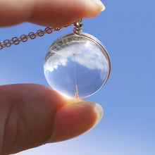 D elion Seeds Wish bottle Necklace Bottle Botanical Pendant Chain Necklace Gifts For Women s  SM6