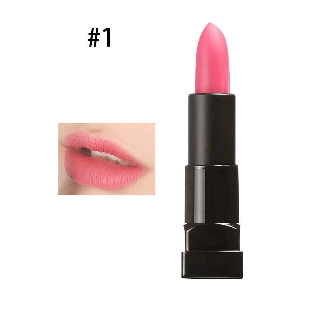 Red Candy Waterproof Matte Lipstick Cosmetic Lip Care Lips Matte Lip Gloss PE3 SM6