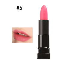 Red Candy Waterproof Matte Lipstick Cosmetic Lip Care Lips Matte Lip Gloss PE3 SM6