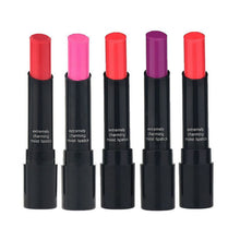 Rouge Brand Lipstick Long Lasting Waterproof Makeup Matte Lip Stick Cosmetics Beauty SM6